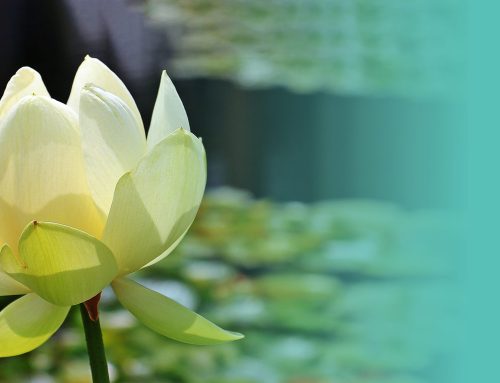 How Yoga Transformed me from the Inside Out